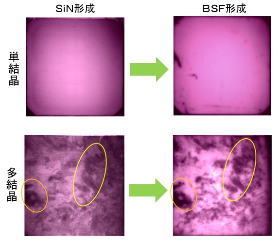 図２　反射防止膜形成、BSF形成後のPL画像